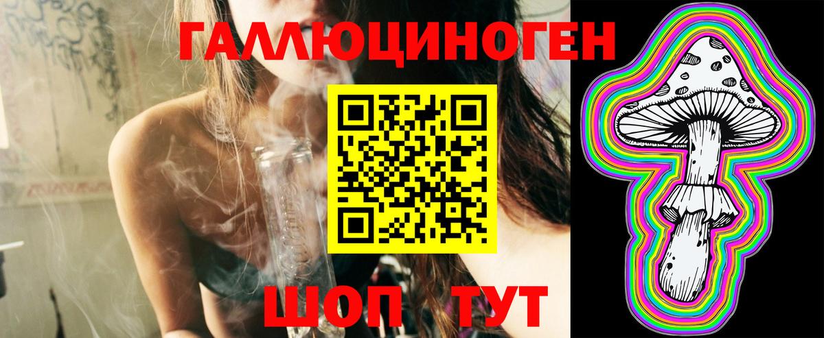 Псилоцибиновые грибы Cubensis Звенигород